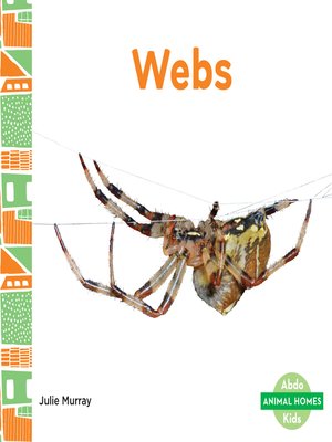 cover image of Webs
